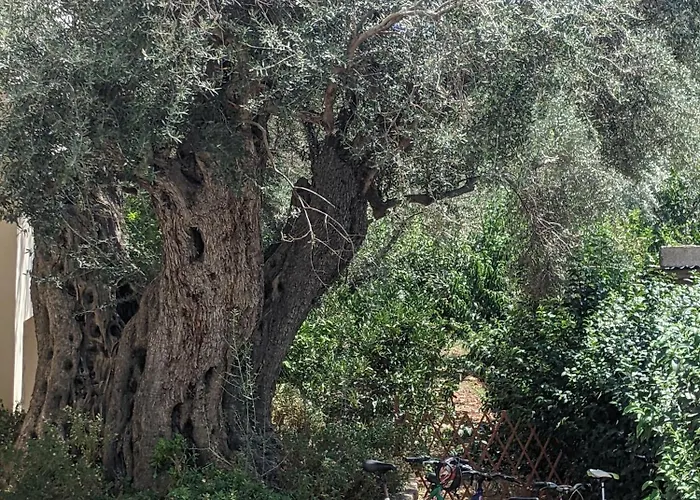 Luxury In Nature - Village *